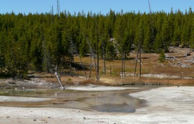 Norris Back Basin