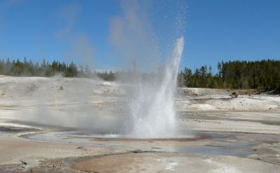 Norris Porcelain Basin - Little Whirlygig Geyser