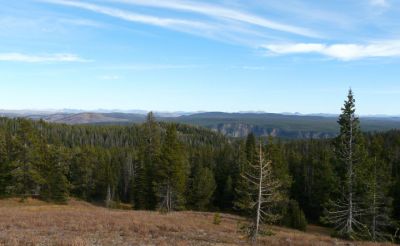 Grand Ganyon of the Yellowstone from road between Canyon and Tower Jcts