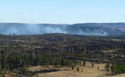 Forest fire north of Mt Washburn