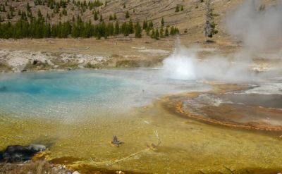 Imperial Geyser