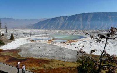 Mammoth Hot Springs - Main Terrace