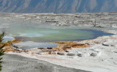 Mammoth Hot Springs - Main Terrace