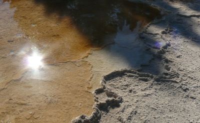 Mammoth Hot Springs