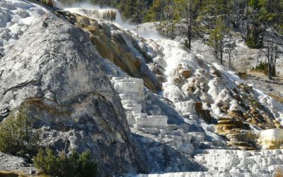 Mammoth Hot Springs - Pallette Spring 