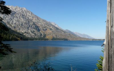 Jenny Lake