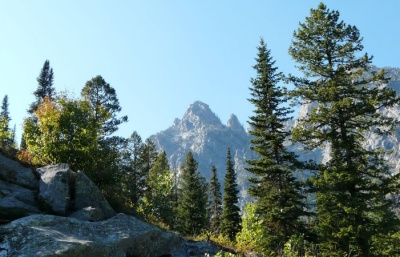 Looking up at the peak