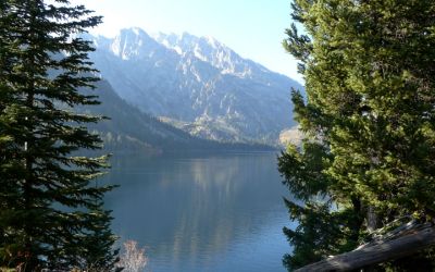 Jenny Lake